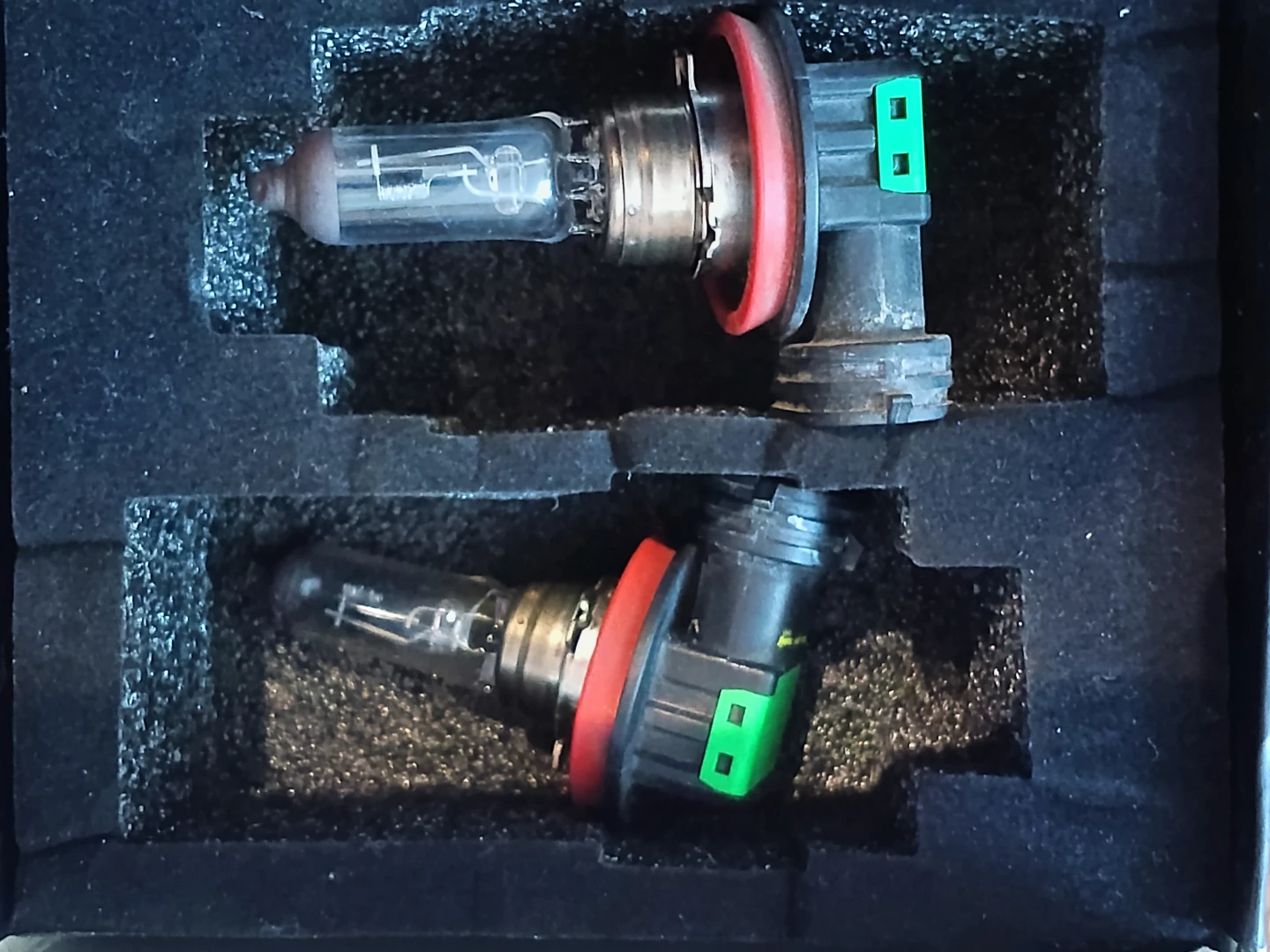 Philips H11 LL Headlight Bulbs