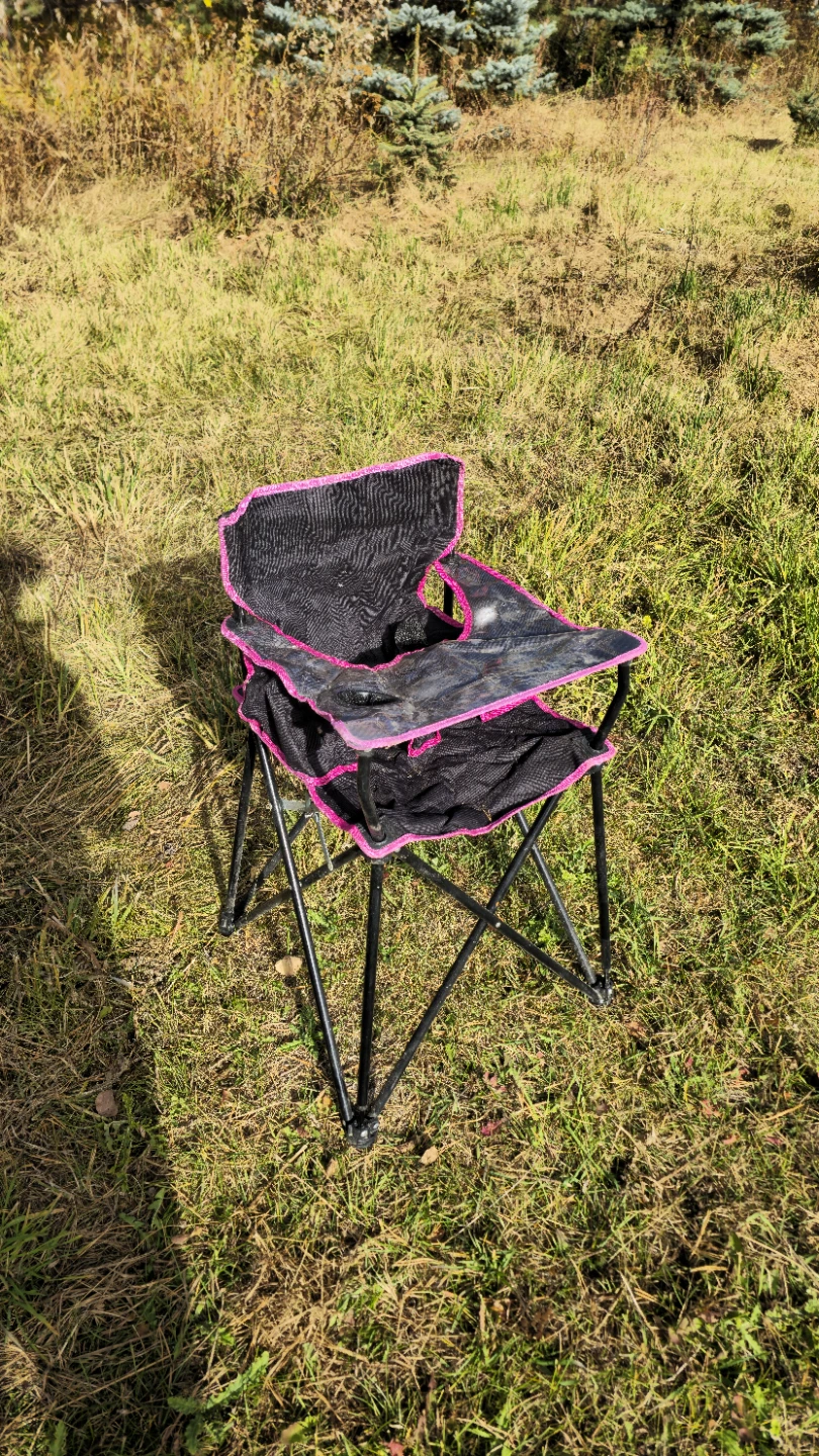 Collapsible Pink and Black Toddler Camp Chair