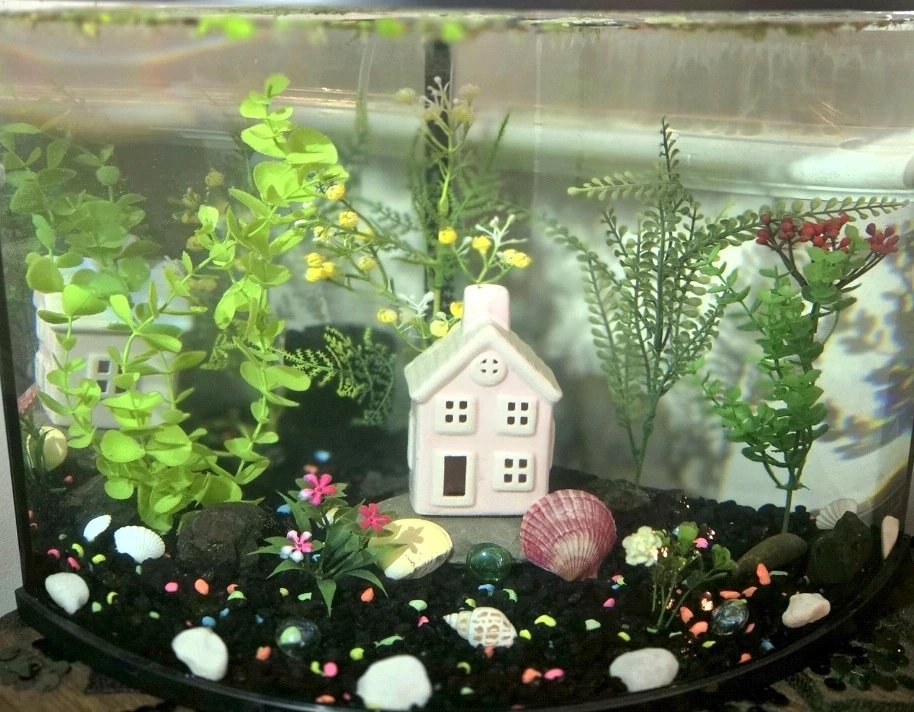 Aquarium for Beginners COMPLETE SETUP