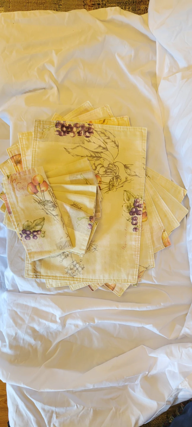 Set of 6 Fruit-Patterned Placemats and napkins