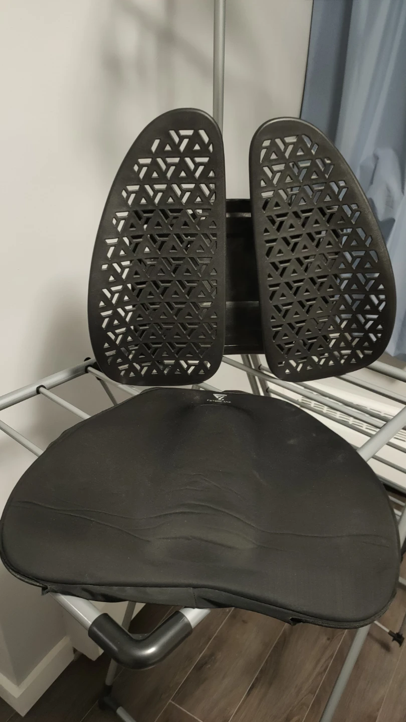 Back support for chair - photo 2