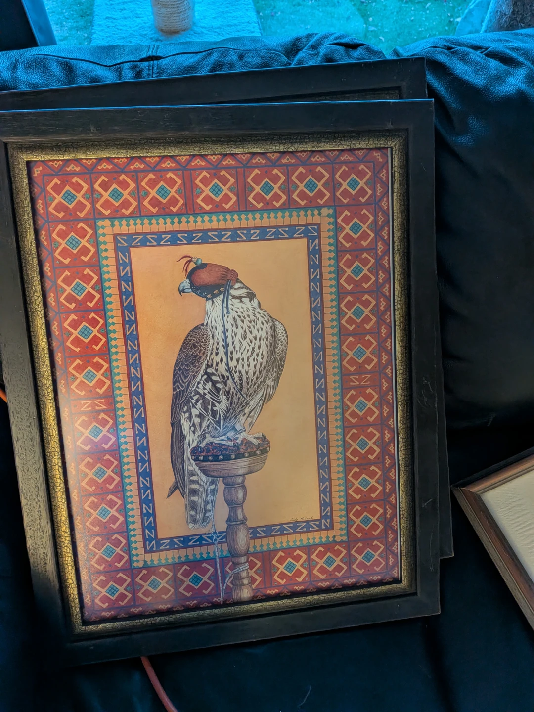 Framed Falcon Art Print by Judy Roberts