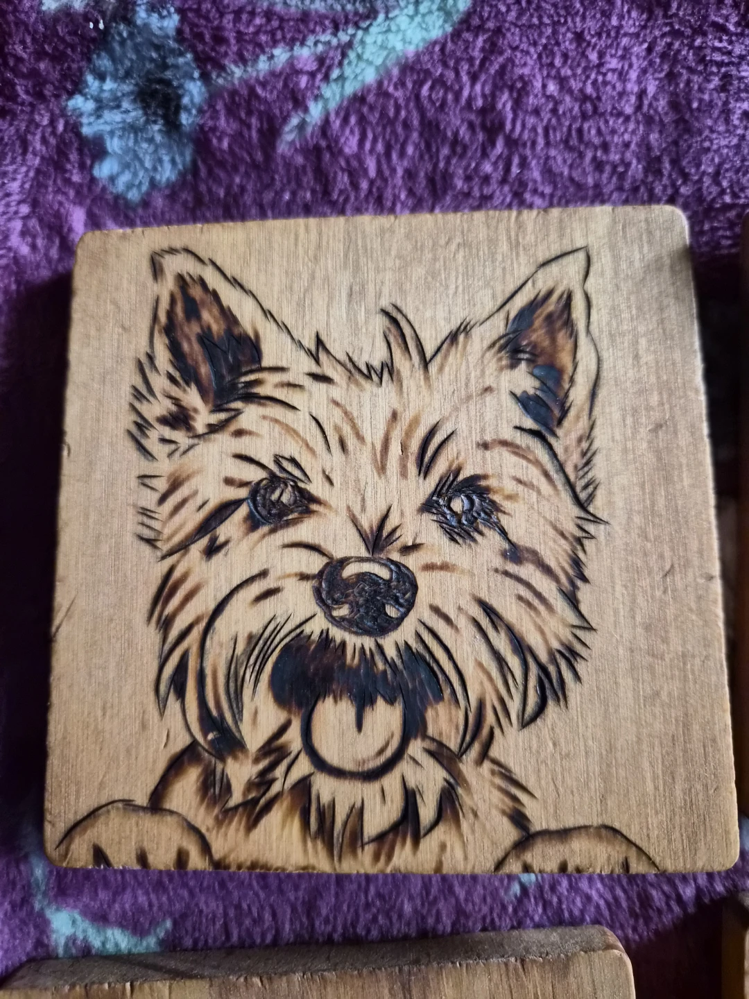Hand-Burned Wooden Pet Coasters - photo 2