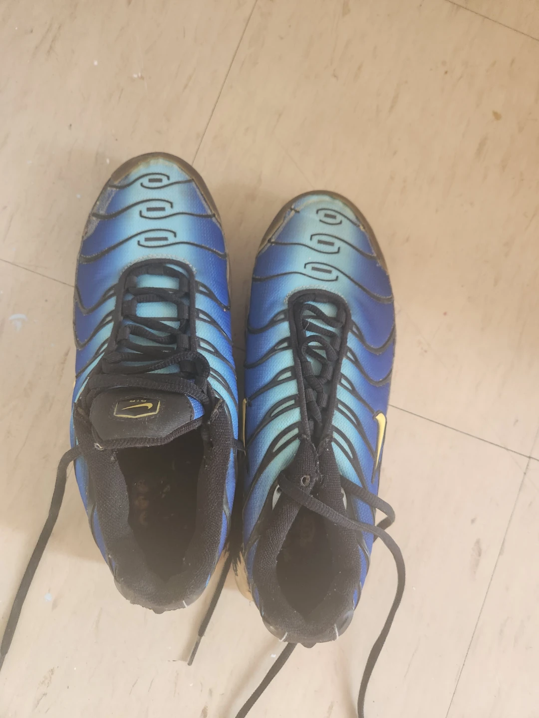Nike Air Max Plus Blue Sneakers