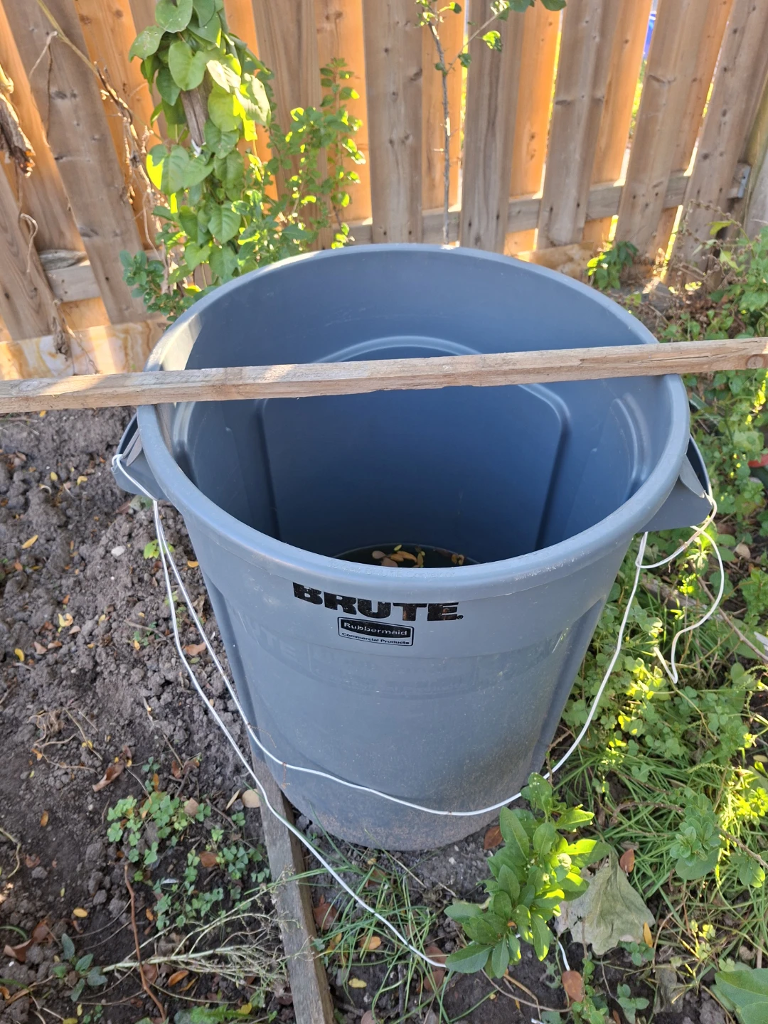 Rubbermaid BRUTE Grey Garbage Can - photo 2