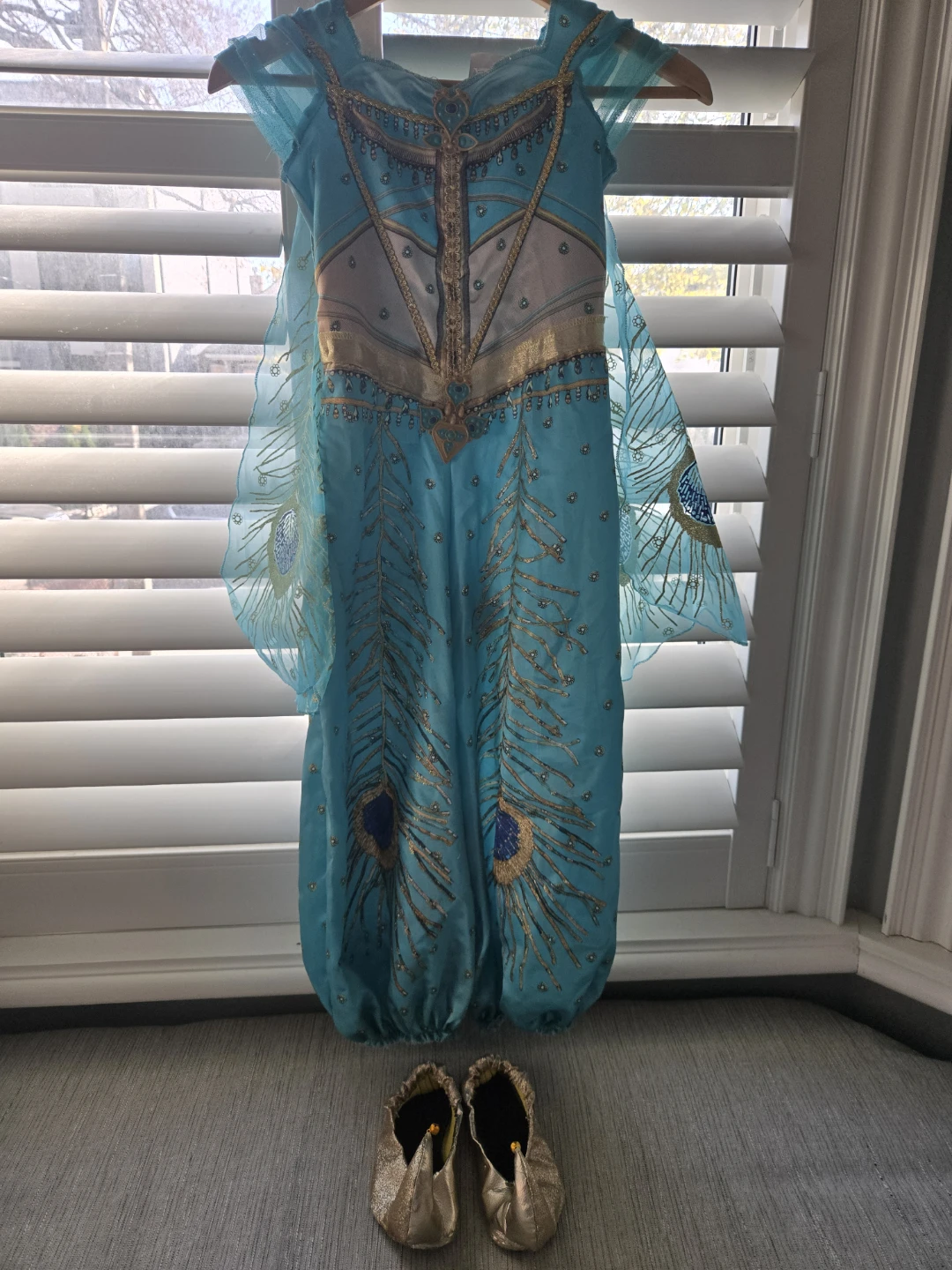 Aladdin Princess Jasmine costume with Gold Shoes