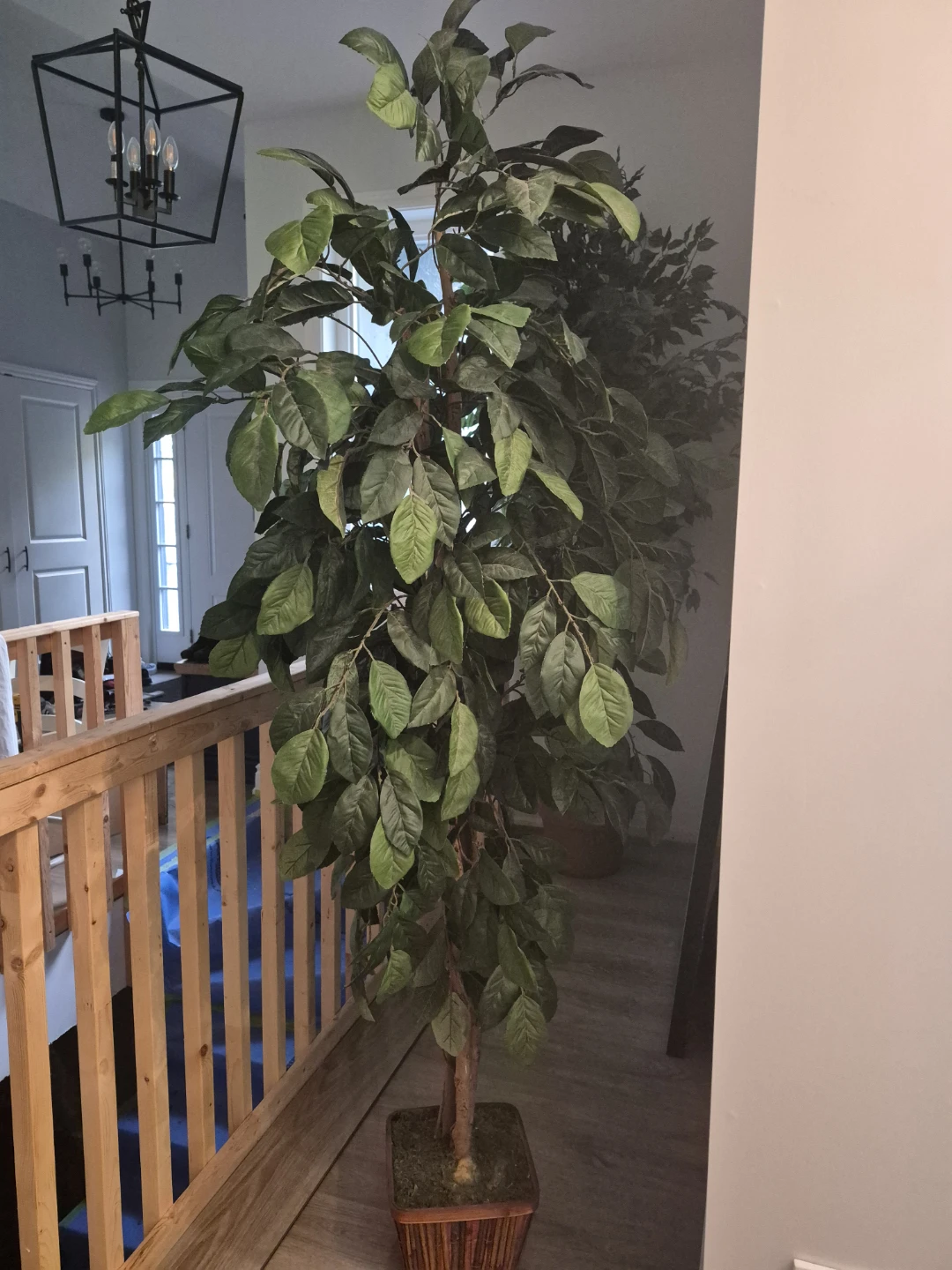 2 Large artificial ficus trees