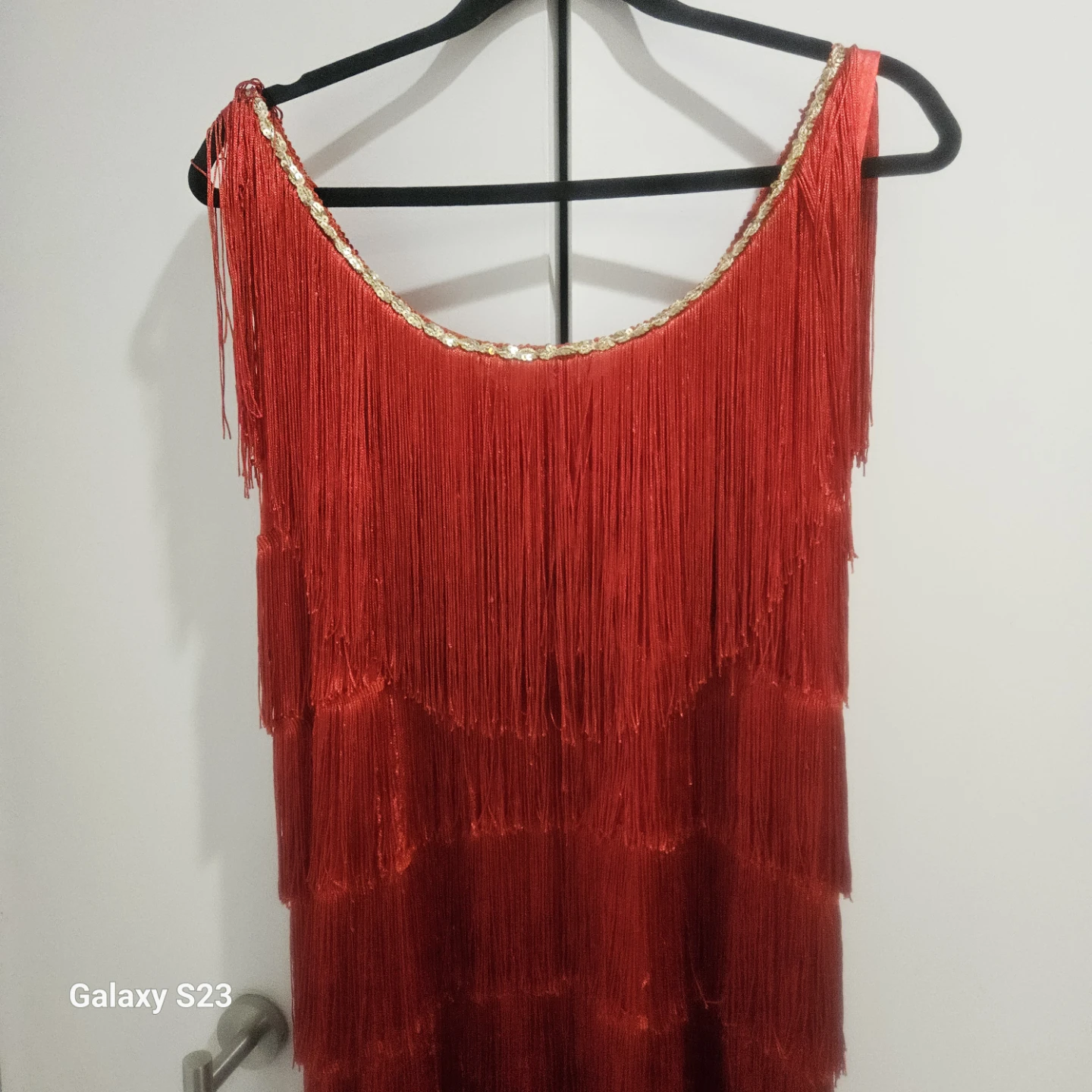 Red Fringe Flapper Style Dress - photo 5
