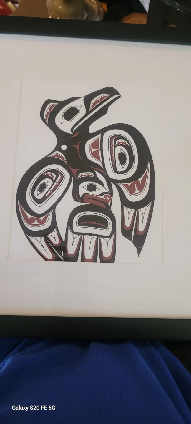 Indigenous Style Framed Print