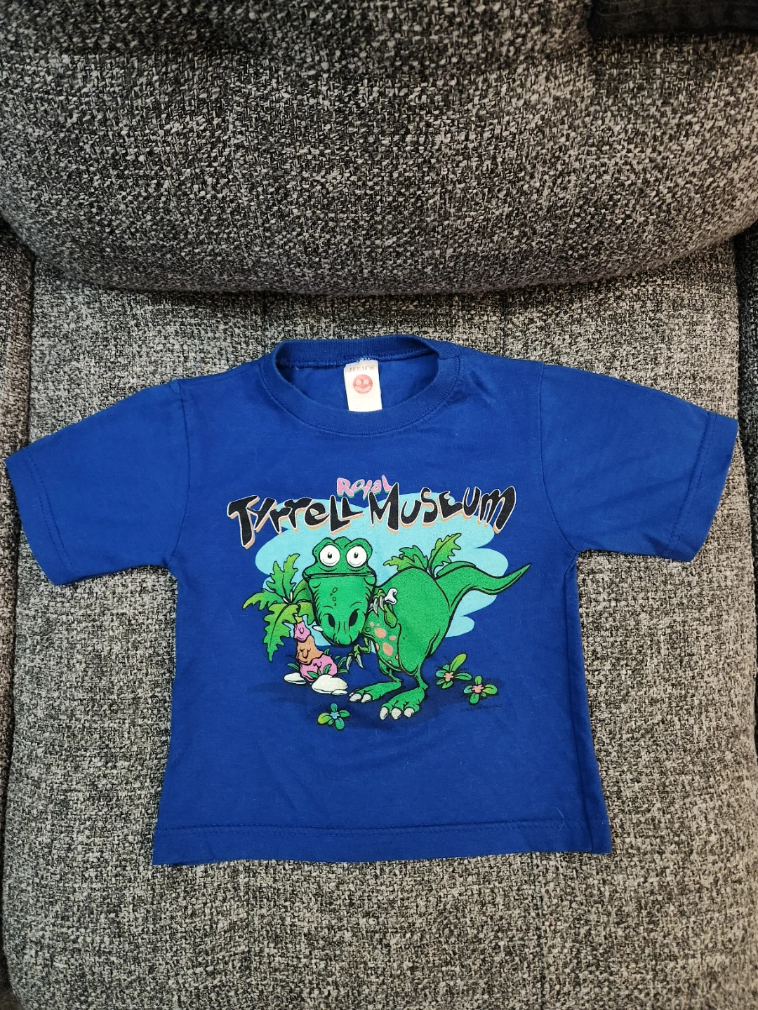 Set of 5 Assorted Kids T-Shirts only $5 total! - photo 3