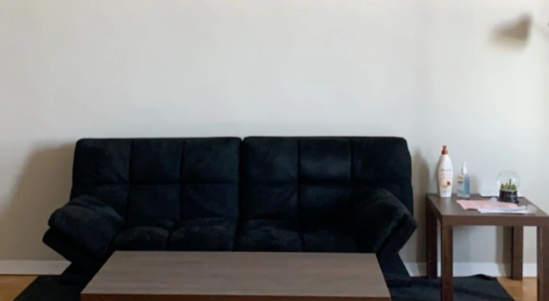 Futon Sofa Bed + Cover + Cushions | Excellent Condition - photo 2