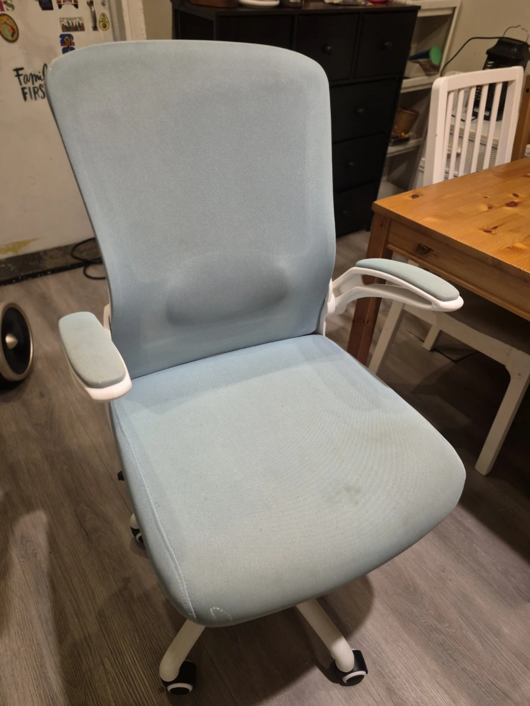 Light Blue Ergonomic Office Chair