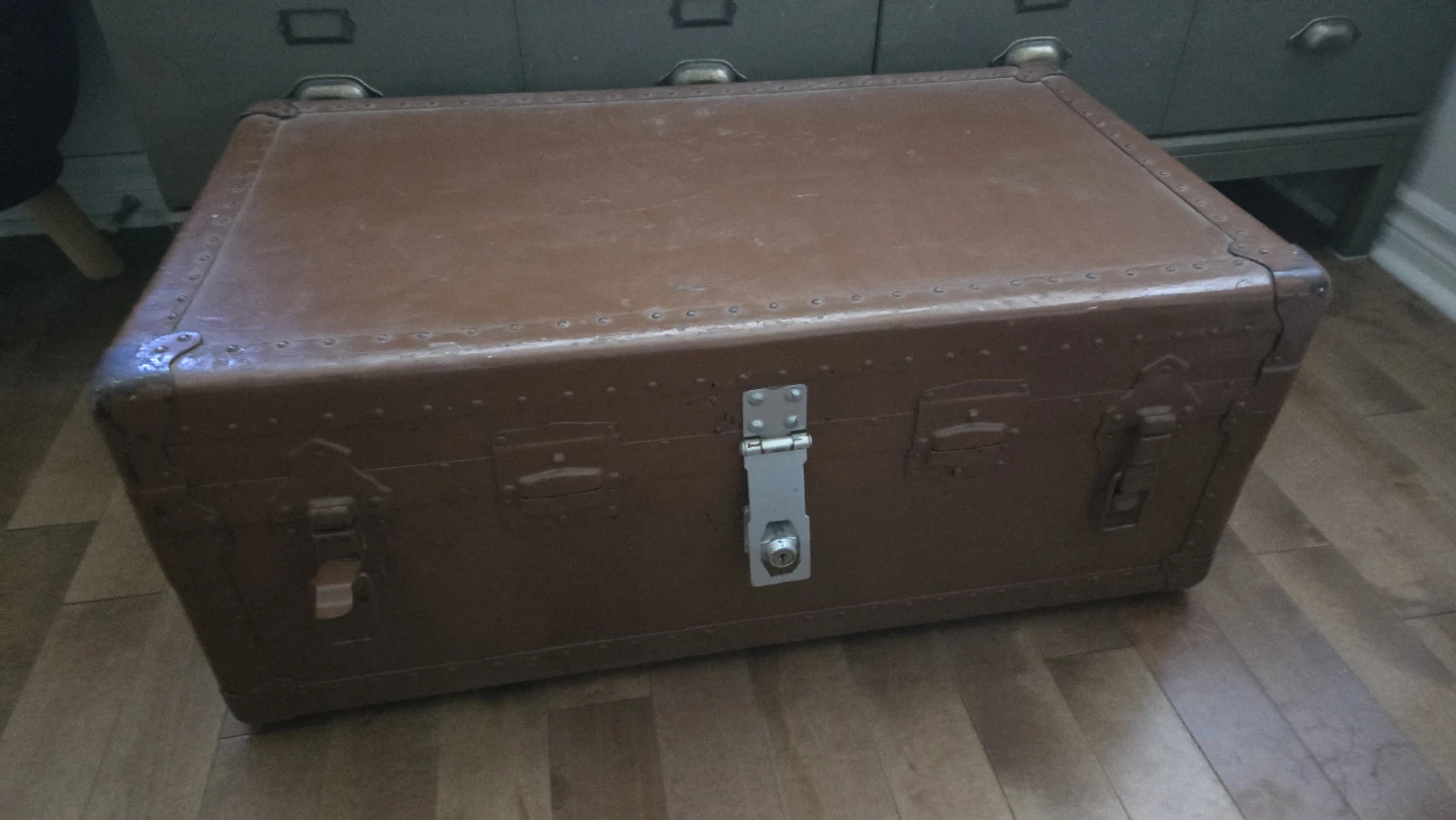 Vintage Brown Storage Trunk