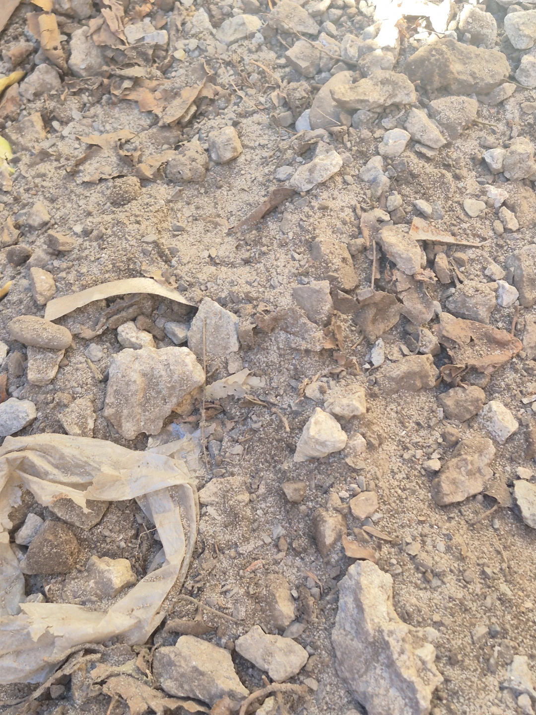 FILL WITH GRAVEL AND DIRT - photo 2
