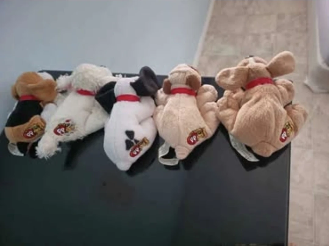 Brand New High-quality Collection Puppies $80 - photo 3
