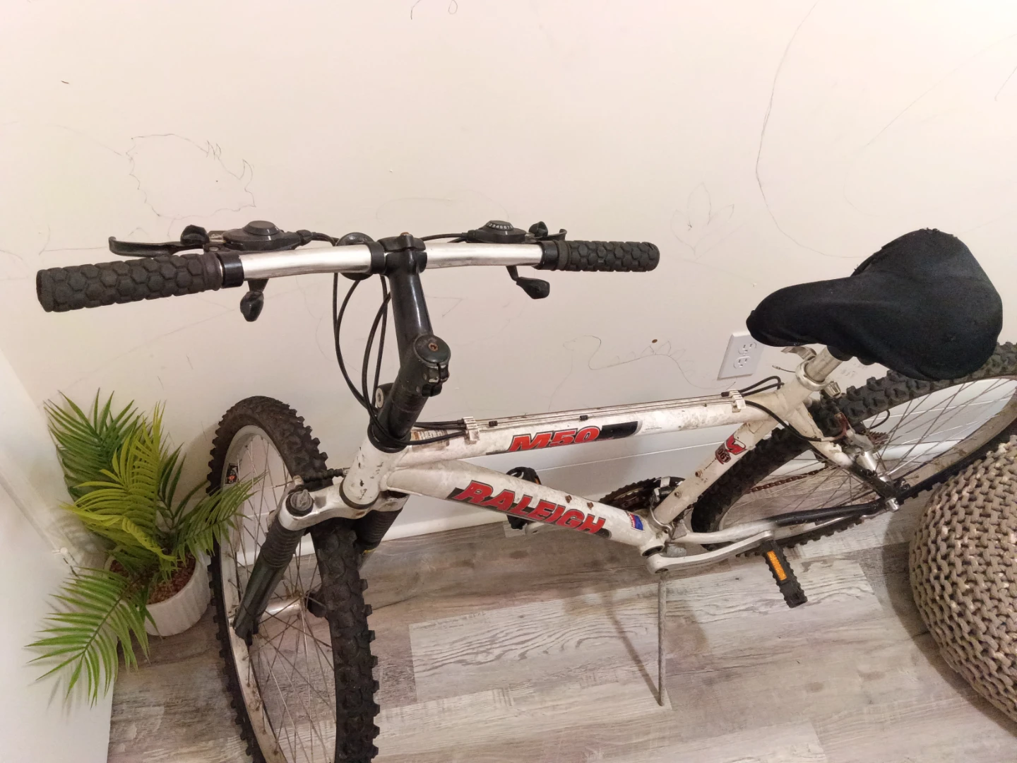 Raleigh M50 Mountain Bike