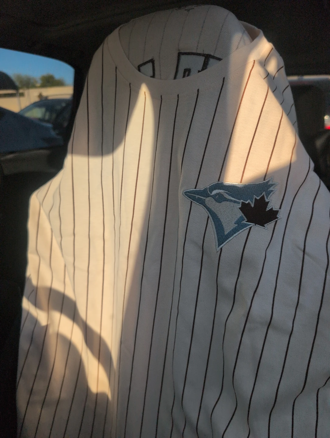 Toronto Blue Jays Pinstripe Baseball Jersey