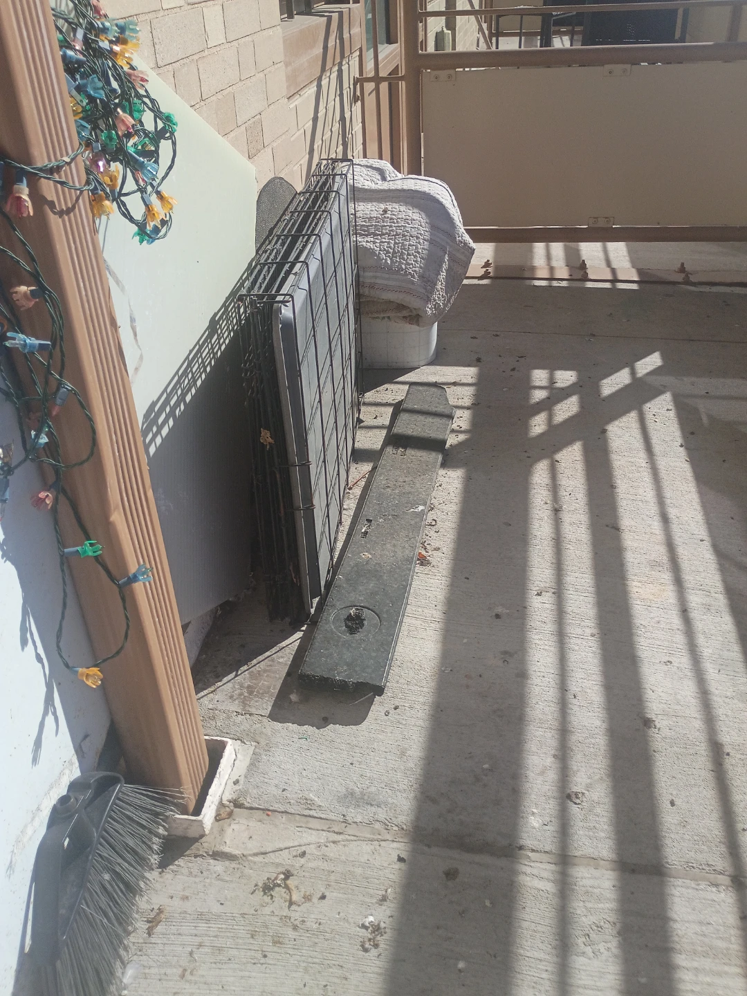 Collapsible Metal Pet Crate