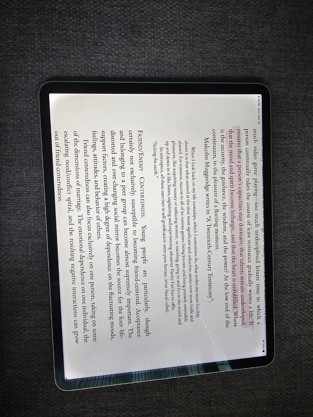 Apple iPad Pro Model A2378 - photo 3