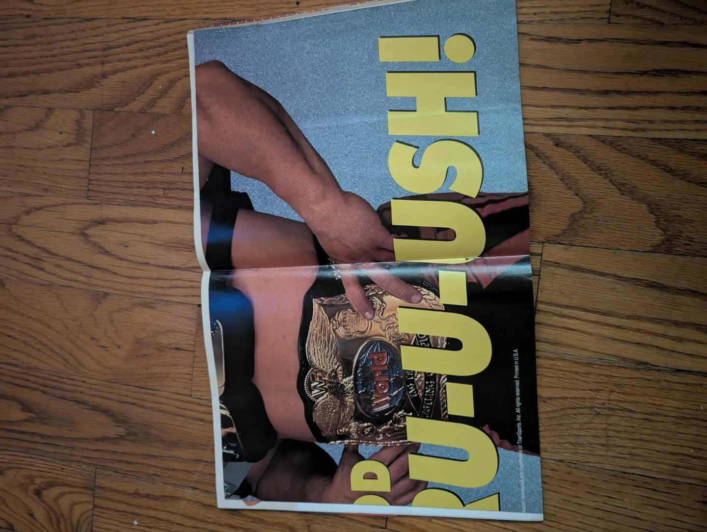 Vintage WWF Wrestling Spotlight Magazine Vol 14 - photo 3