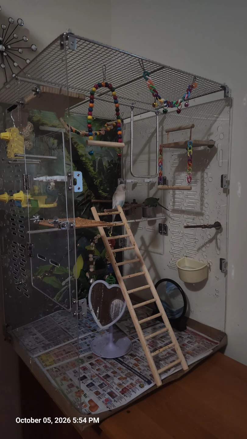 Clear Acrylic Bird Cage with Accessories - photo 3