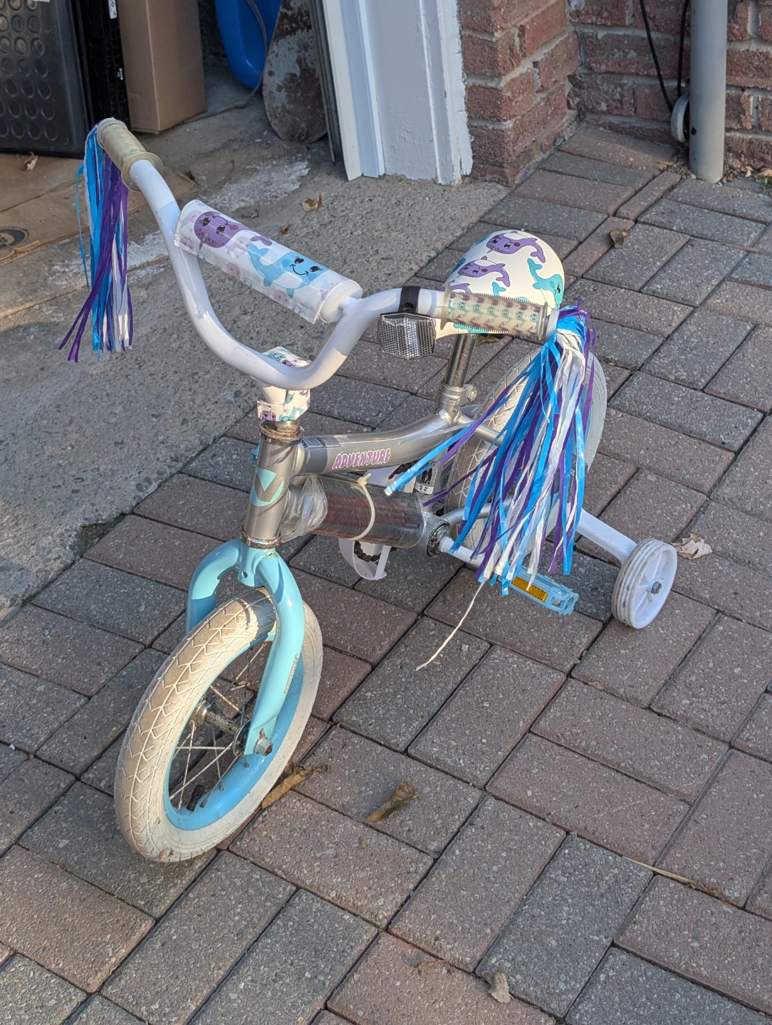 Nakamura Adventure Kids Bike with Training Wheels