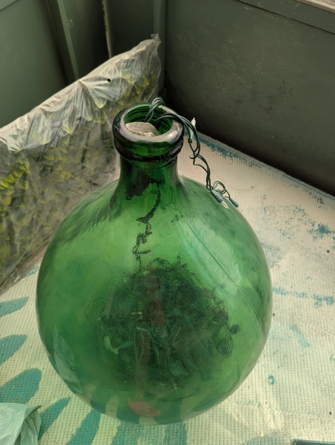 Large Green Decorative Glass Terrarium