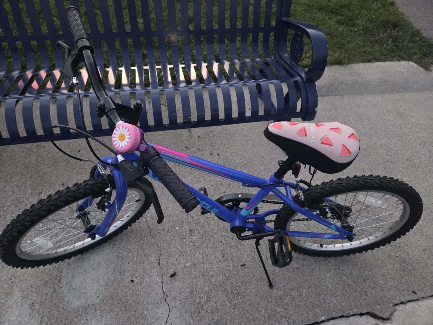 Supercycle Charge Bike - Moving Out Sale - photo 4