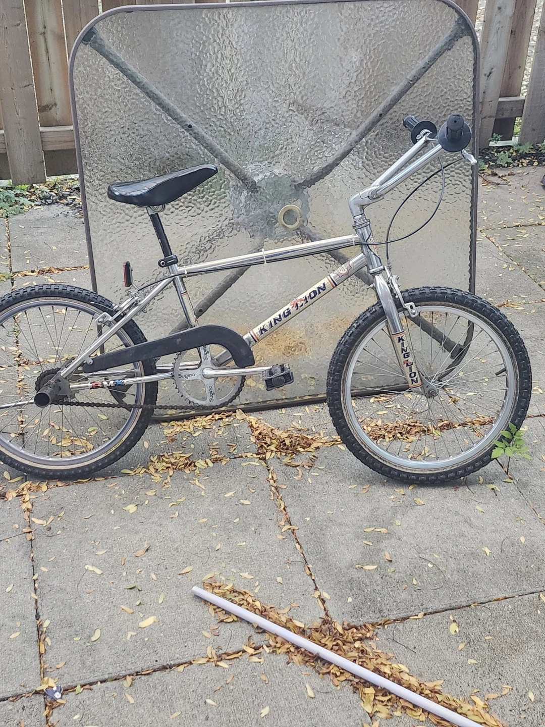 Vintage King Lion BMX Bicycle