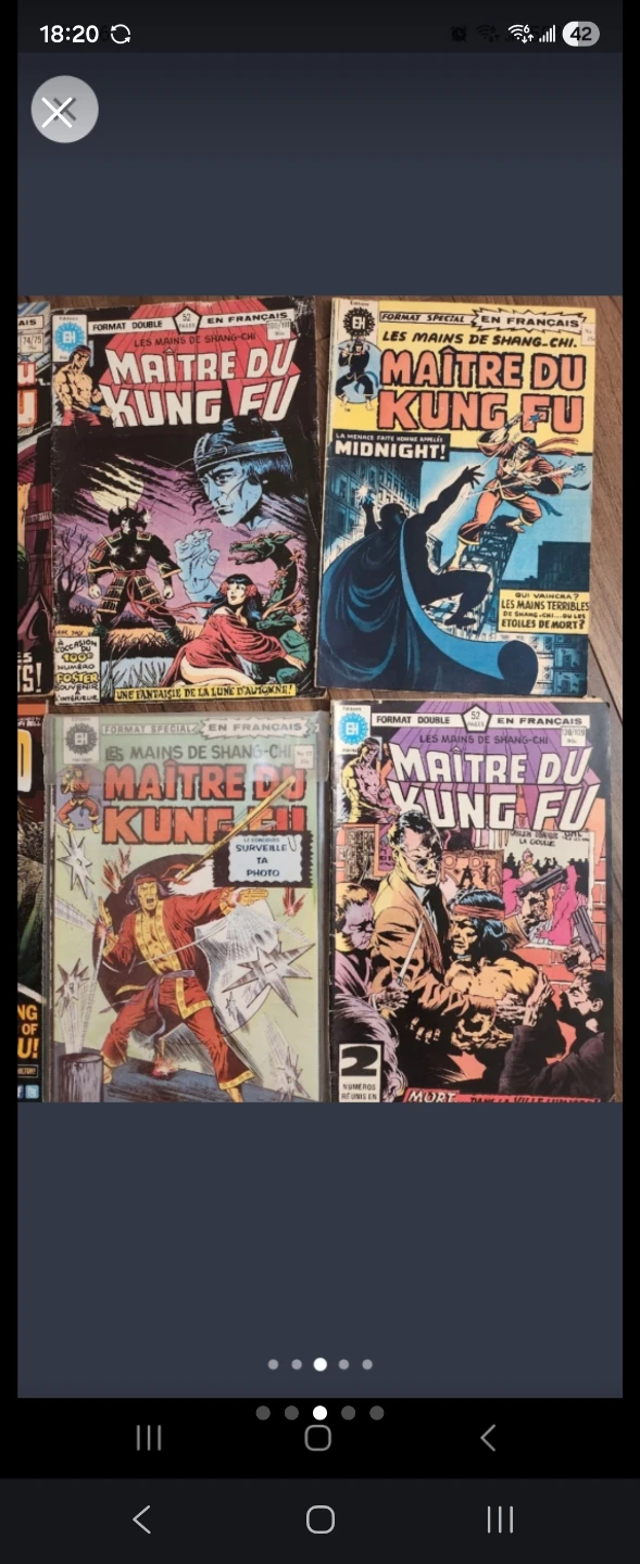 Collection of Maitre du Kung Fu and Silverblood comics - photo 3