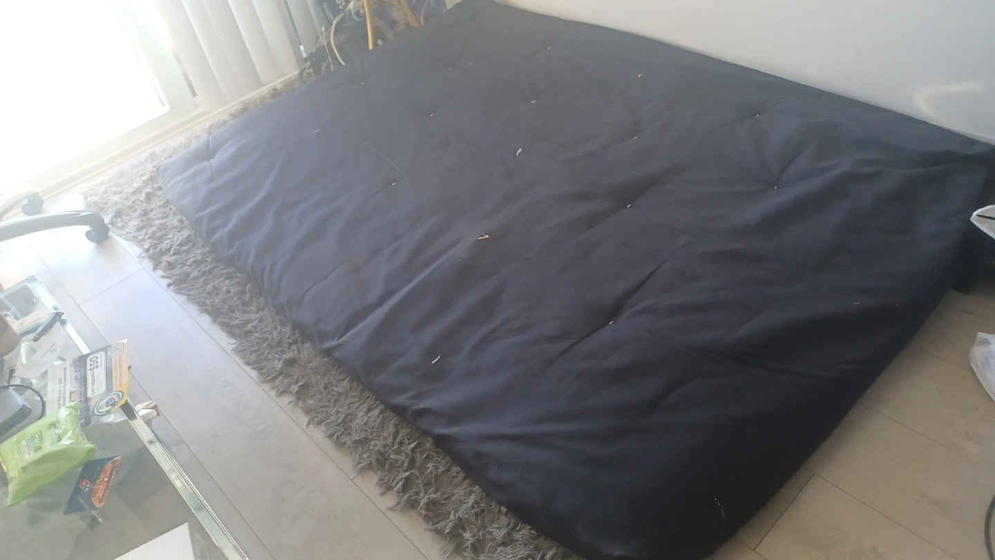 Futon Mattress