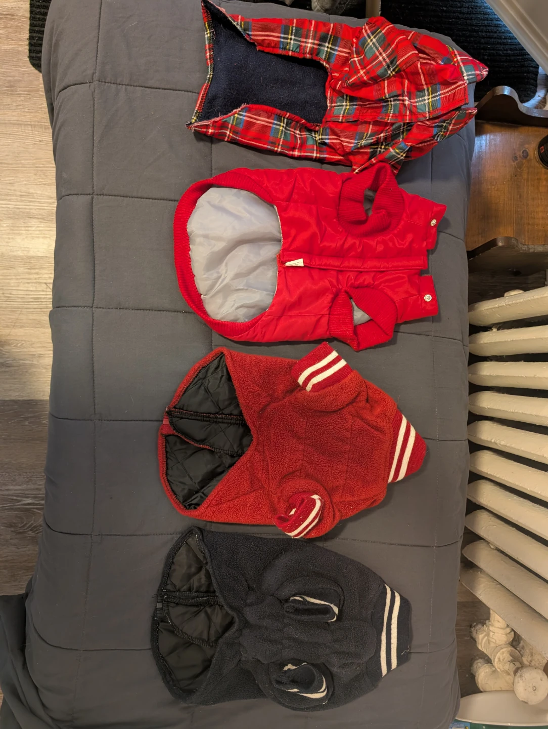 Assorted Dog Clothes - Roots, NHL, Band Tees - photo 4