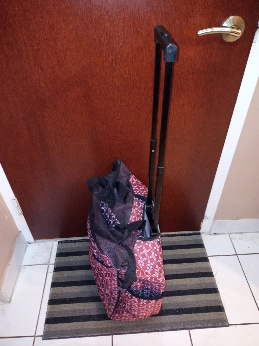 Shopping Cart / Bag - photo 5