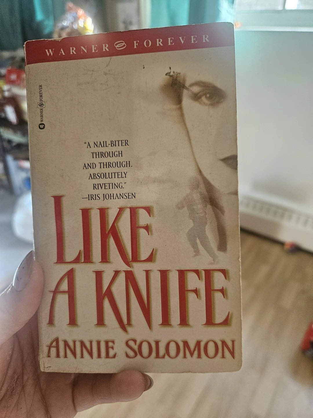 Like a Knife by Annie Solomon