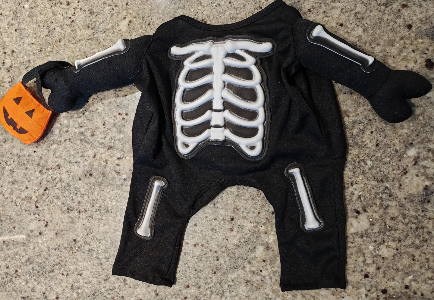 Dog Skeleton Halloween Costume