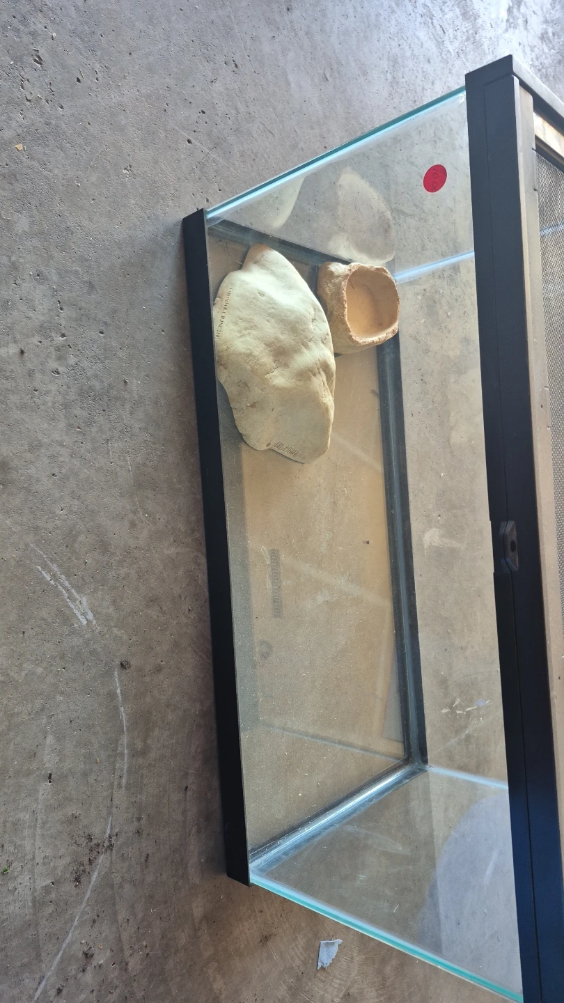 Exo Terra Glass Terrarium with Accessories - photo 2