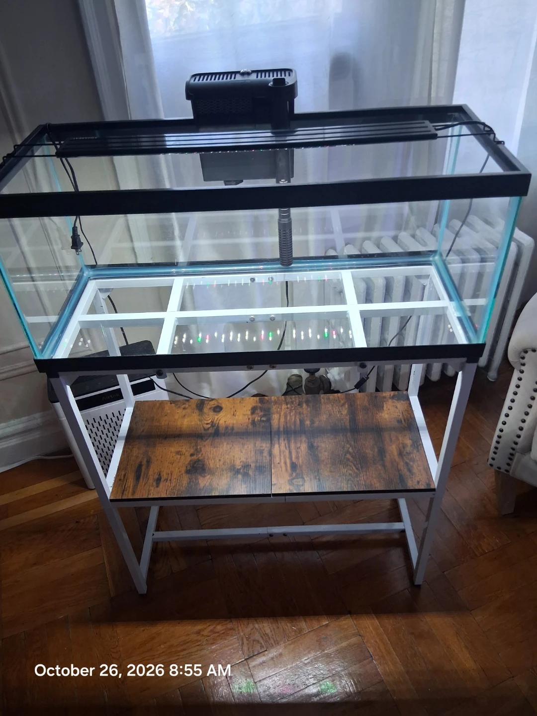 20 gallon long Glass Aquarium with accessories - photo 2