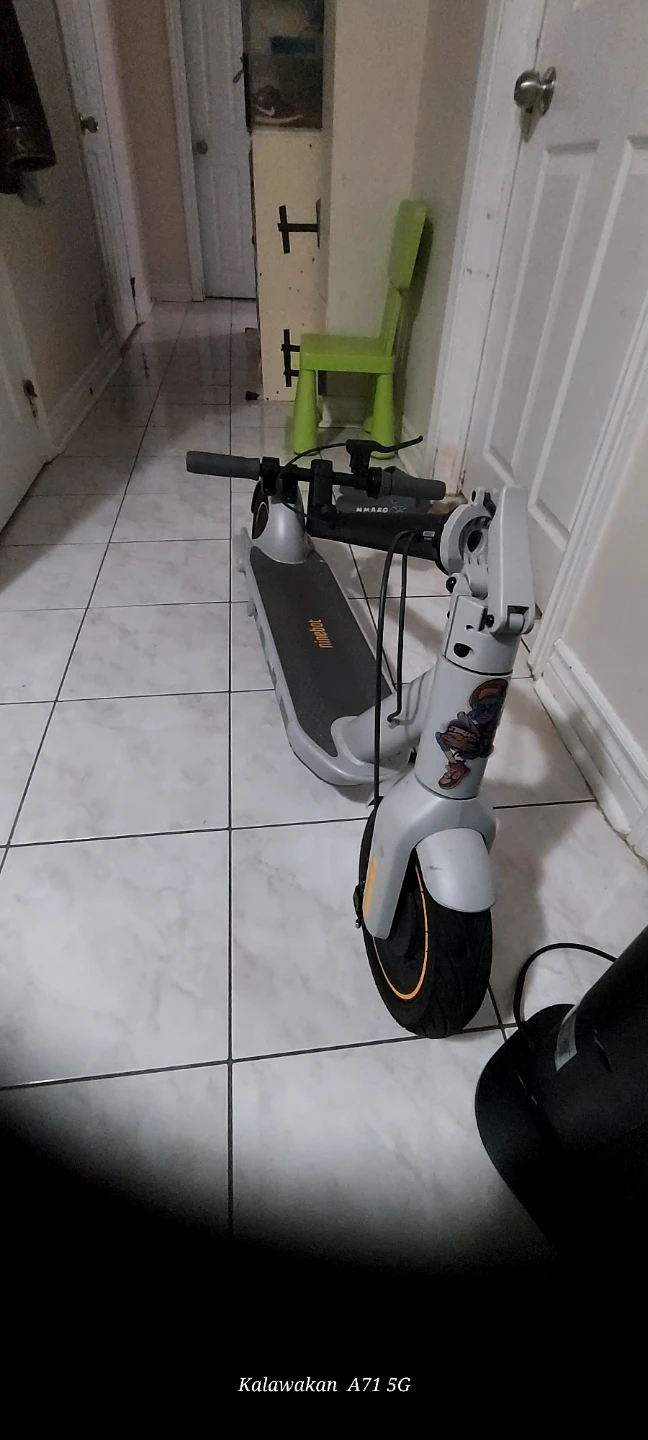 Ninebot Segway Electric Scooter Model G30LP - photo 2