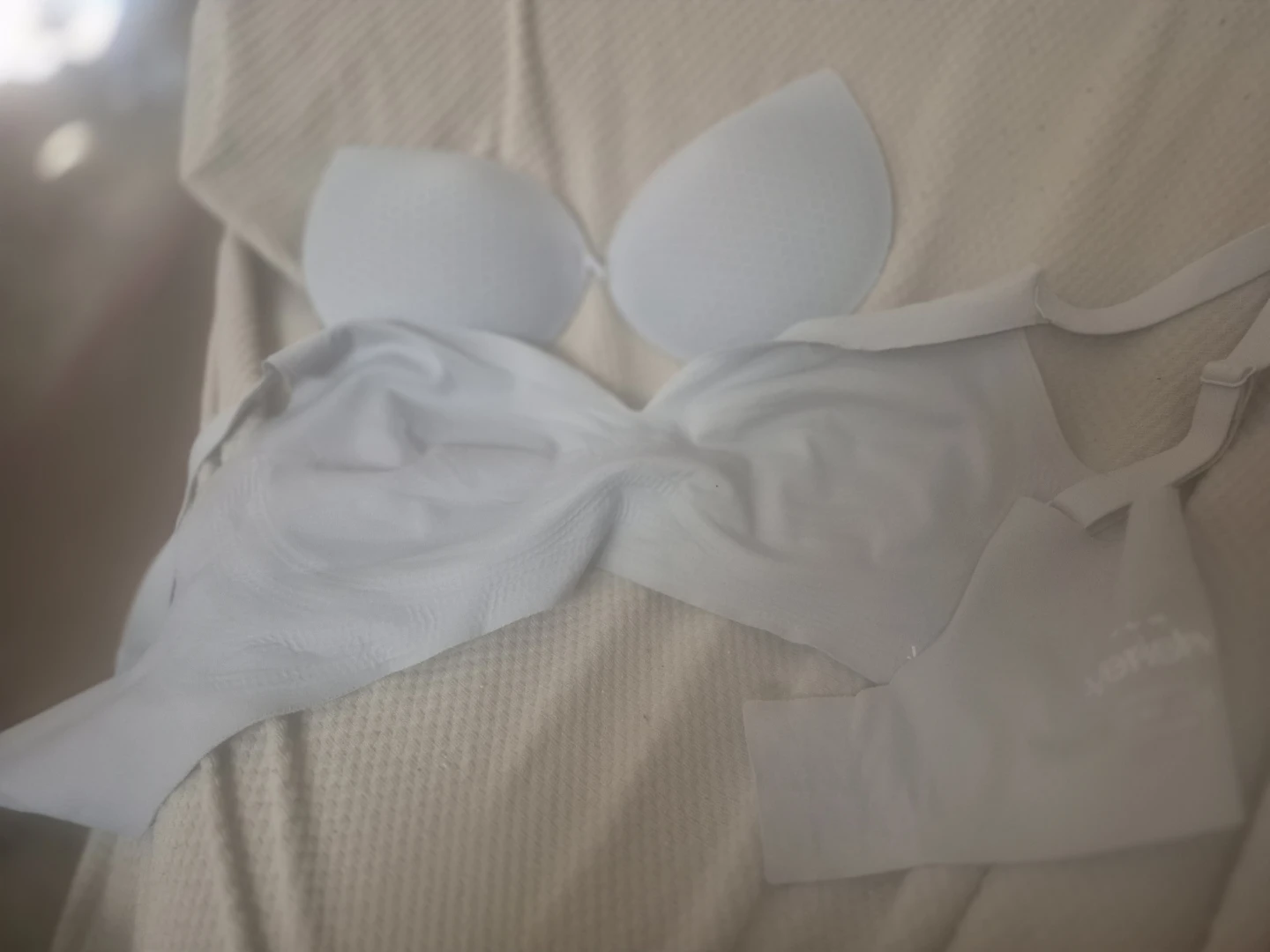 VERISH  Wireless Bra Light Gray