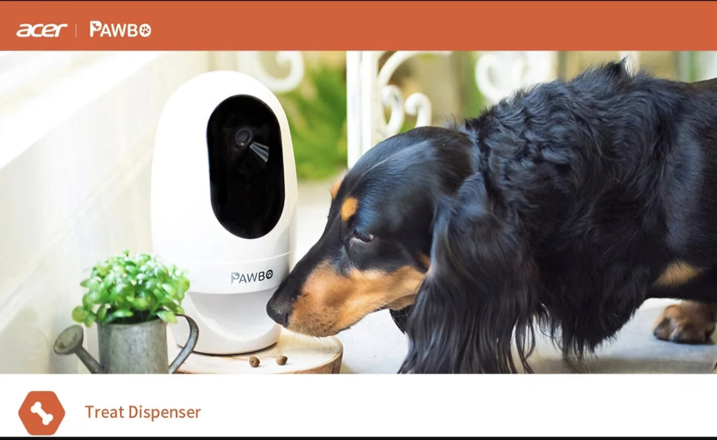 Pawbo+ Wireless Interactive Pet Camera - photo 5