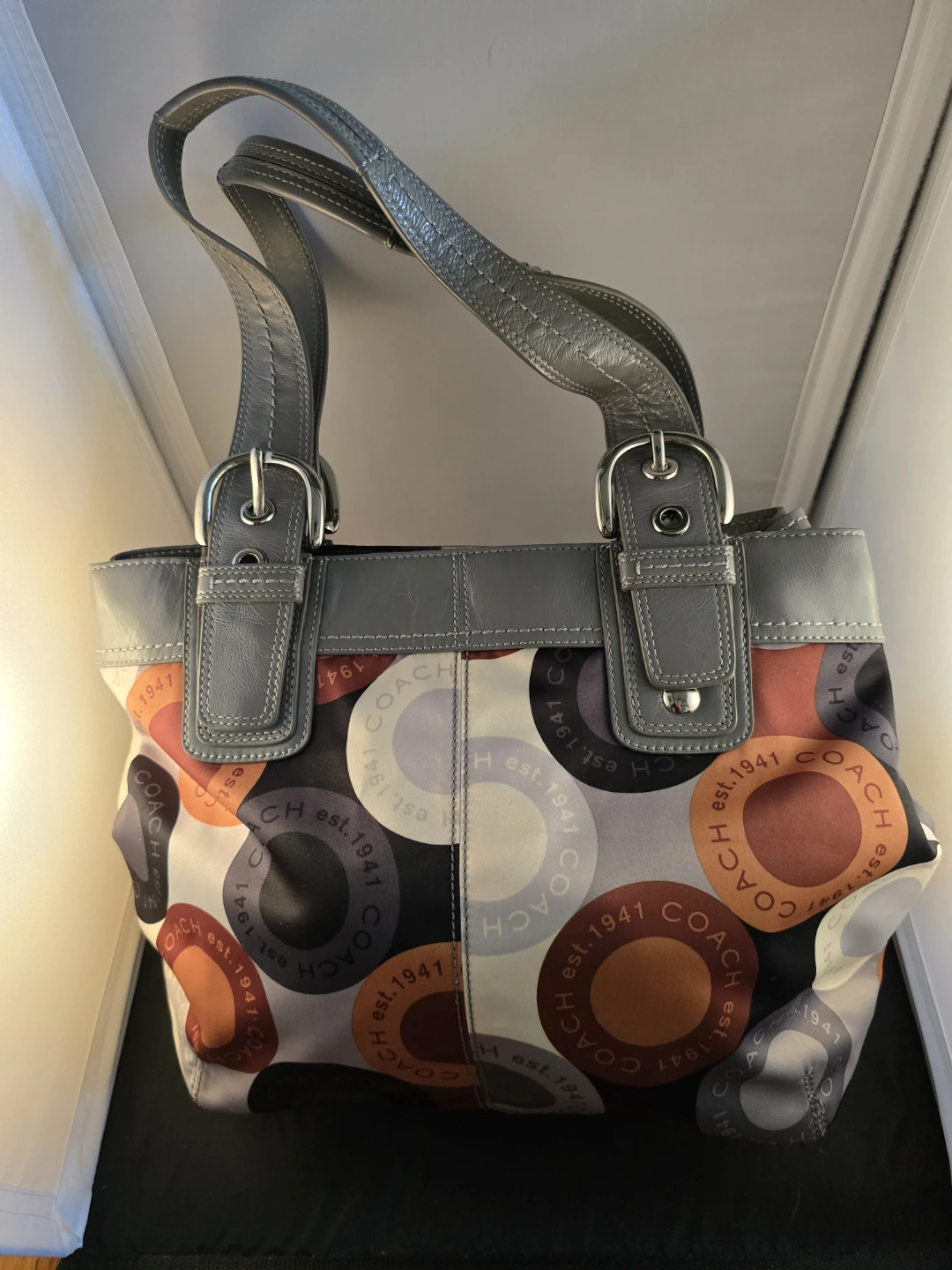 Coach Multicolor Printed Handbag