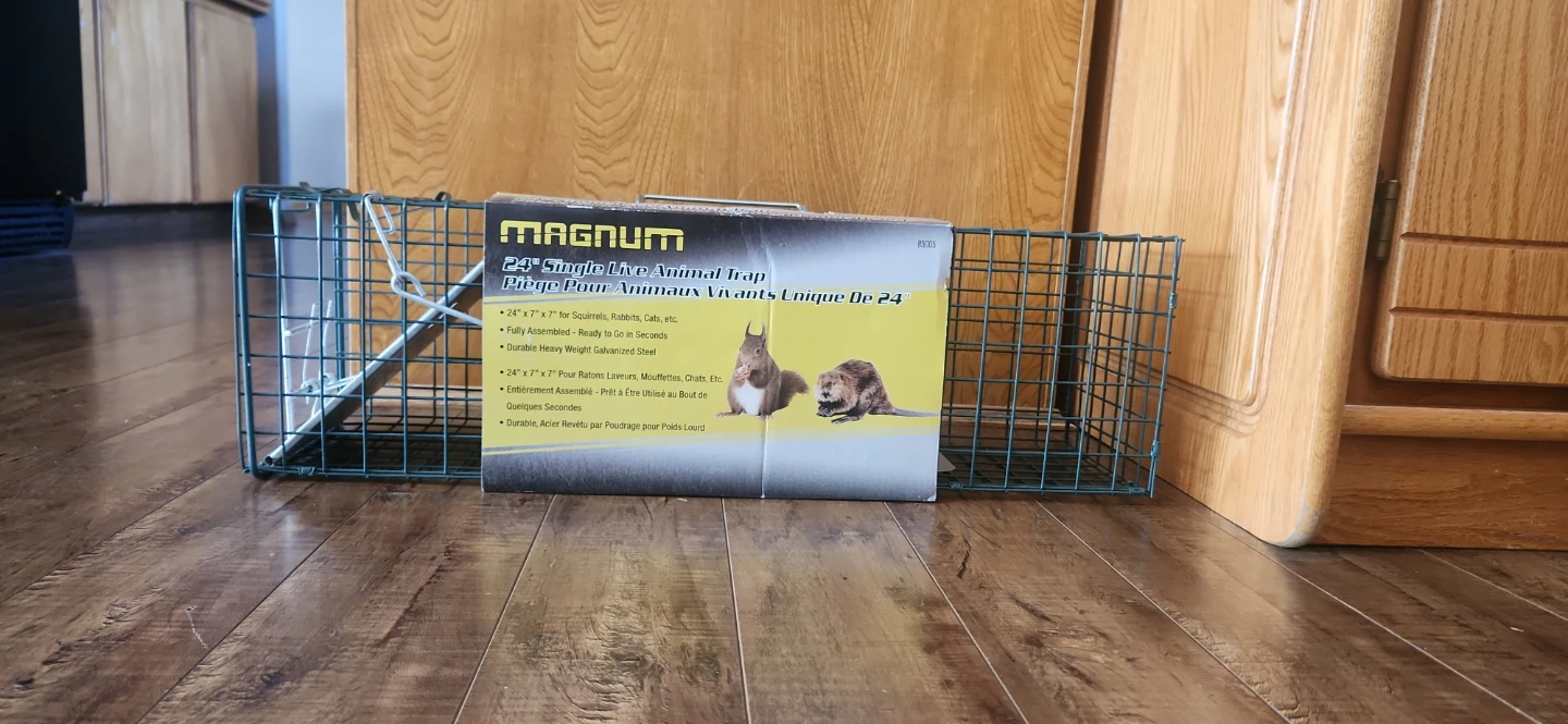 Magnum 24-inch Single Live Animal Trap