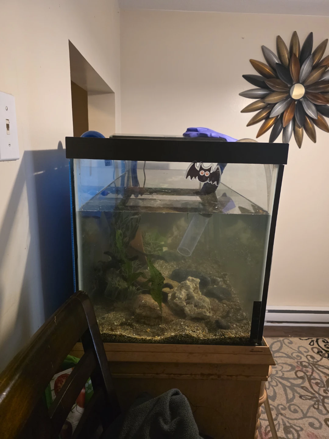 75-Gallon Aquarium — Updated Price List