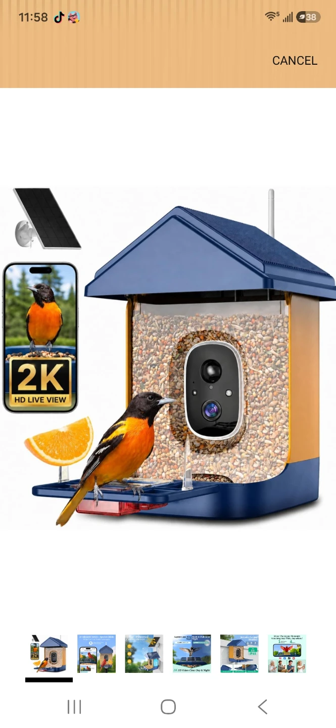Smart AI Bird Feeder with 2K Camera