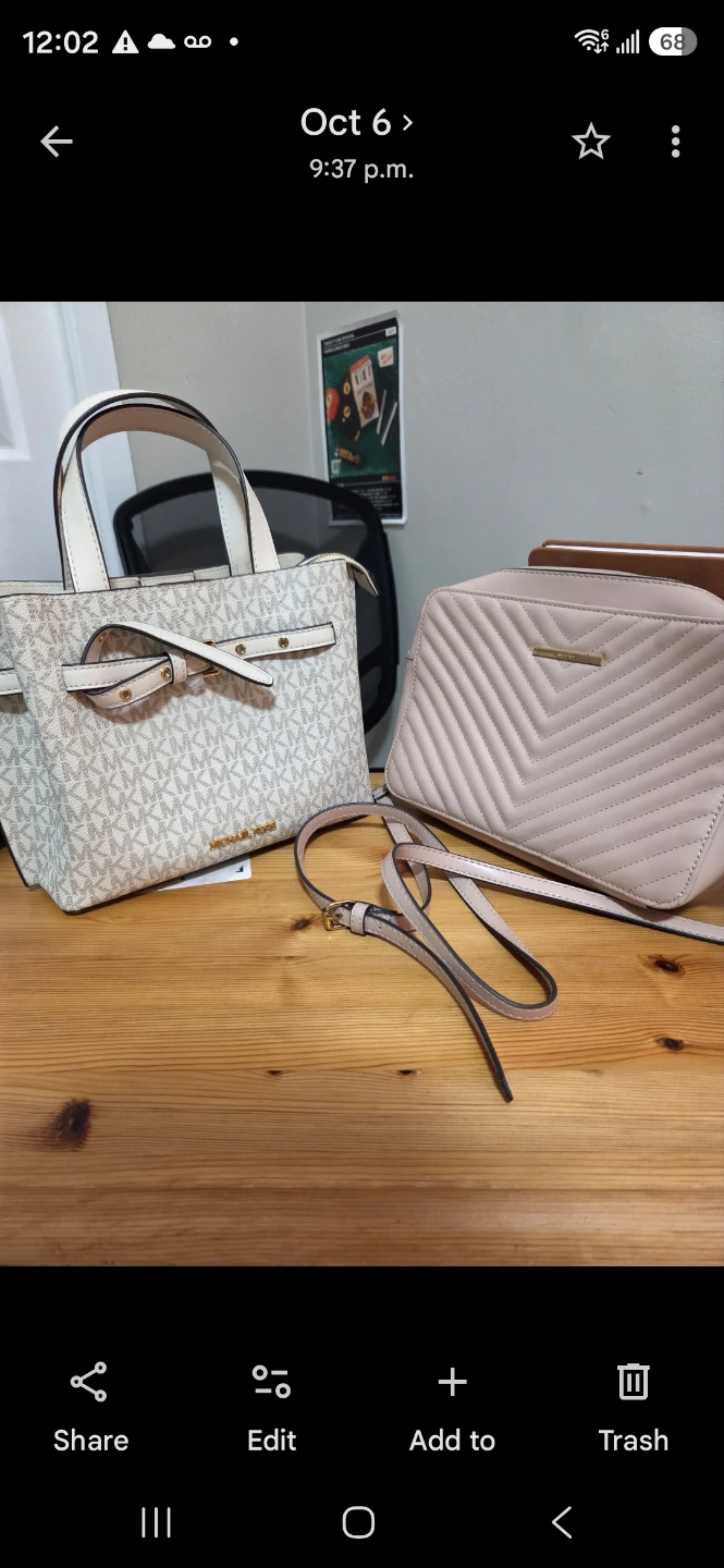 Michael kors bag and another bag