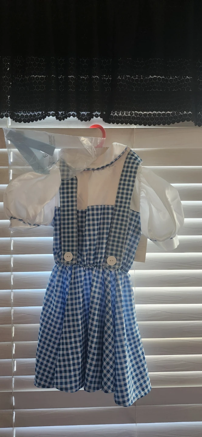 Wizard of Oz Dorothy Costume Toddler 3-4T - photo 2