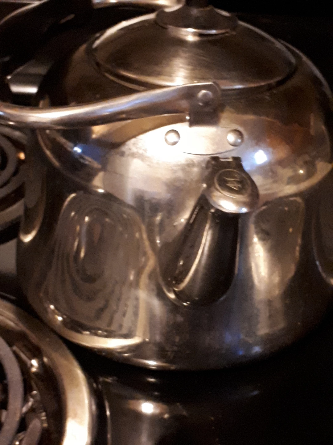 Large Stainless Steel Stovetop Kettle - photo 3