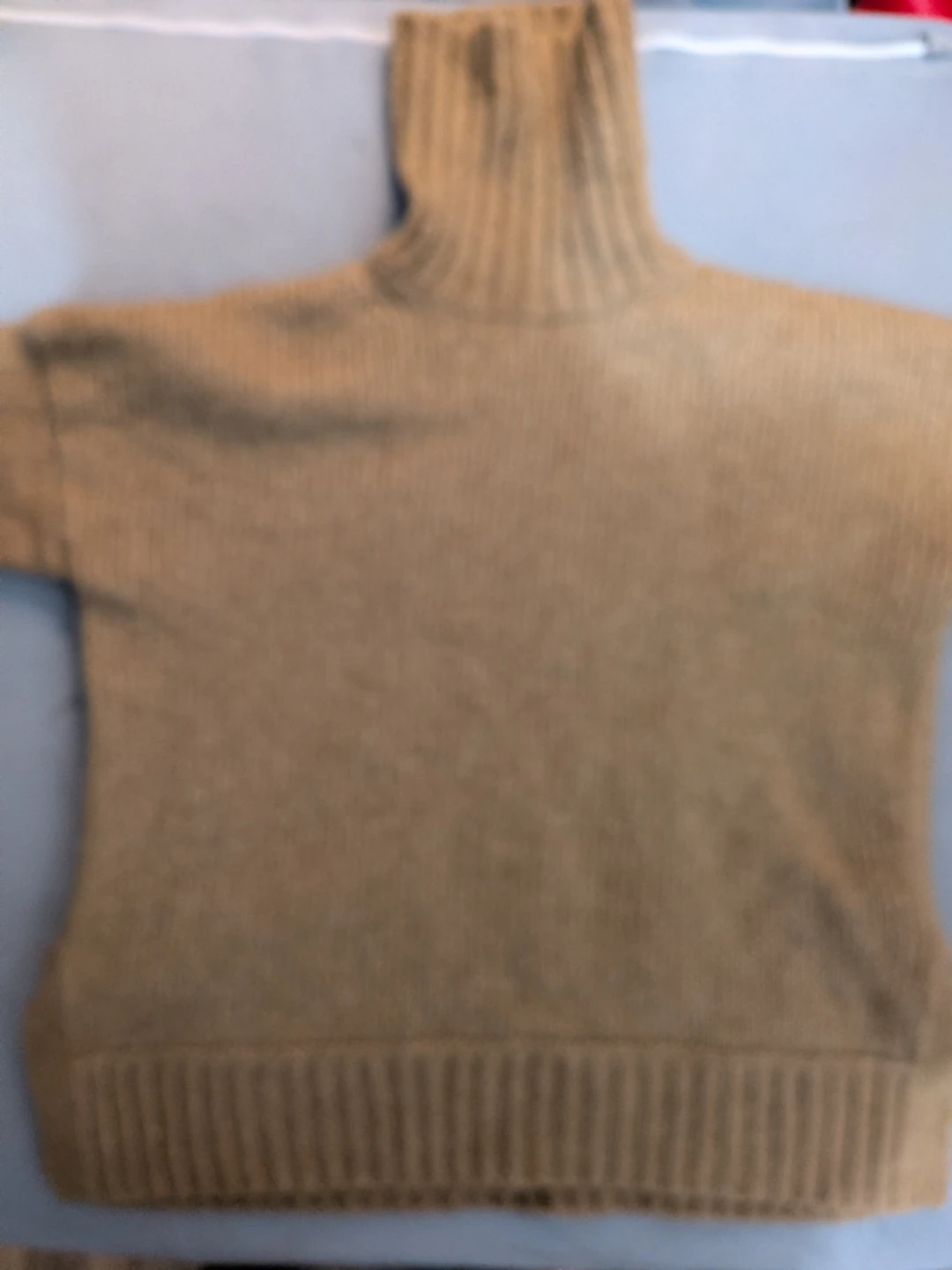 Everlane Turtleneck Sweater Medium