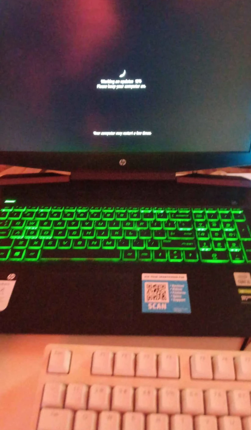 HP Gaming Laptop need 200w charger
