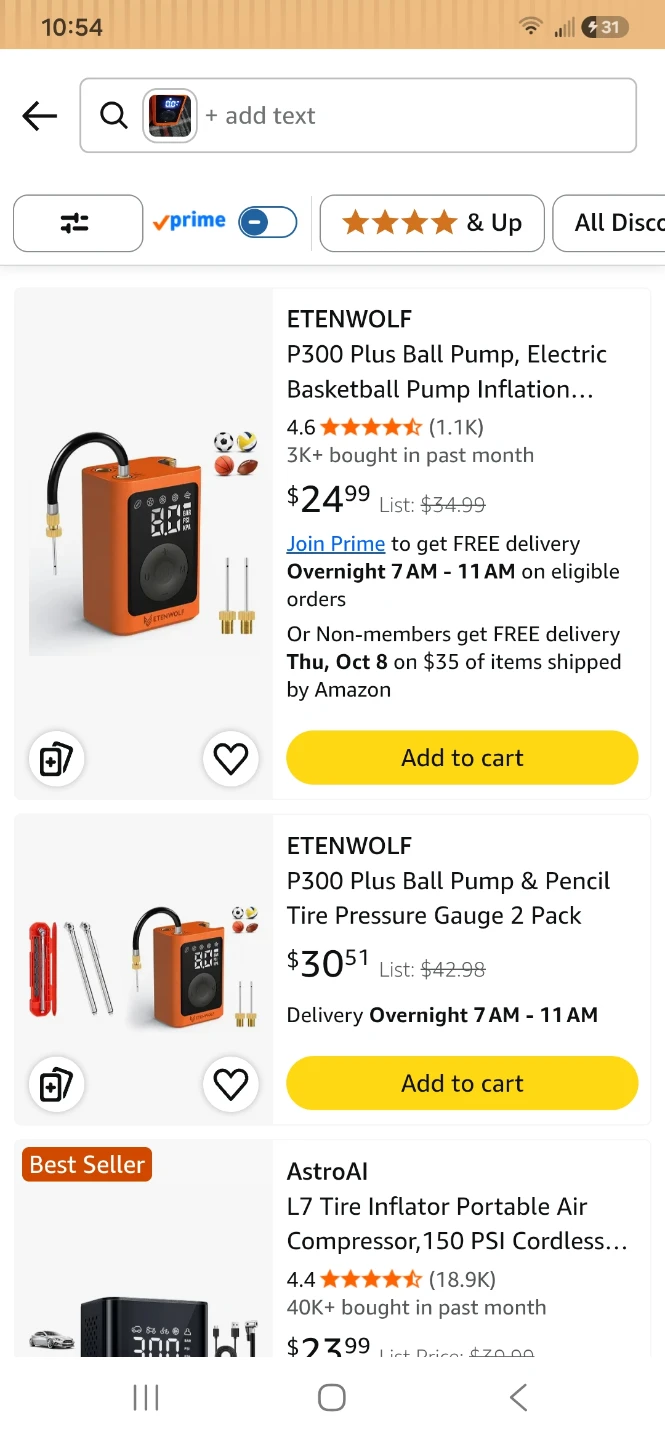 Etenwolf P300 Electric Ball Pump